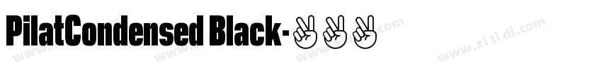 PilatCondensed Black字体转换